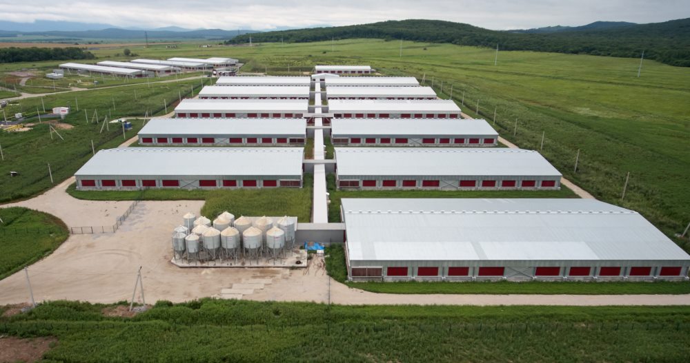Русагро построит в Приморском крае свиноводческие фермы и завод по производству комбикормов