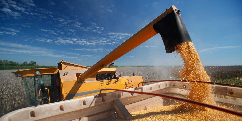 Сибирская аграрная группа построит завод по переработке зерна за 15 млрд рублей